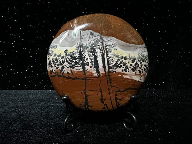 Bold circular brown, whites, greys Picture Jasper