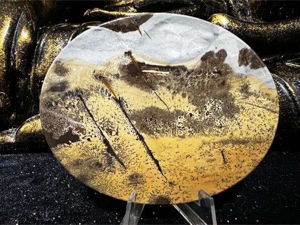 Picture Jasper cut to an oval shape